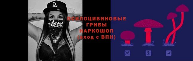 дмт Бронницы