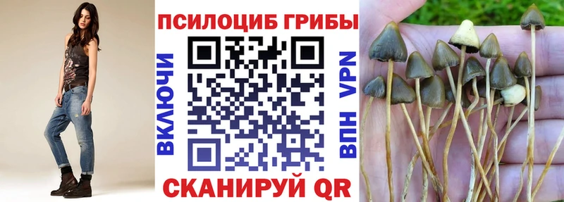 кракен как зайти  Екатеринбург  Псилоцибиновые грибы Magic Shrooms 